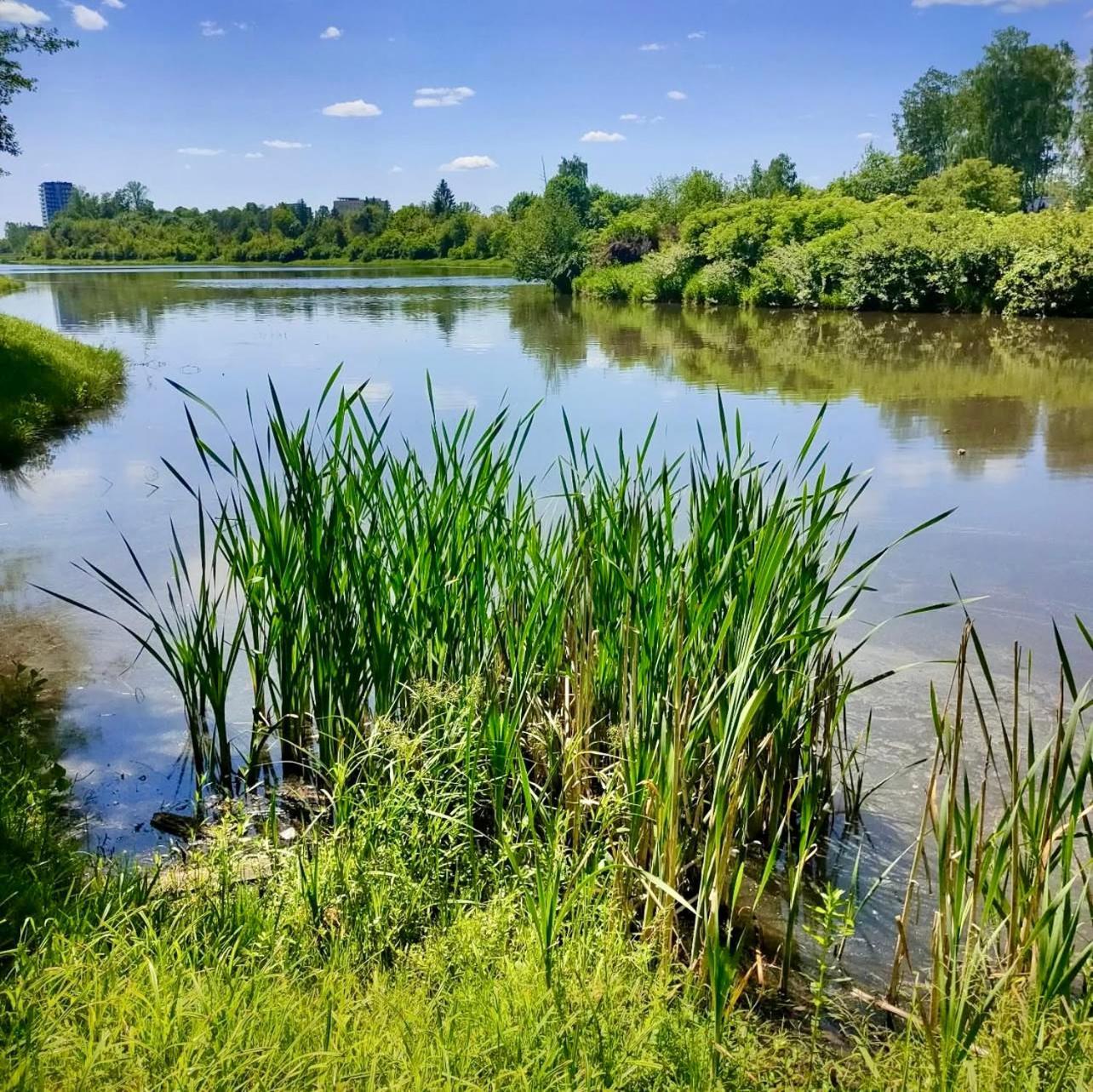 Apartamenty Kielce- Apartament Saphire Przy Zalew Kielecki, Faktura, Parking, Centrum 外观 照片